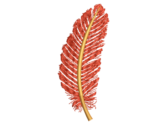 Review: Red Decorative Feather Embroidery for Holidays