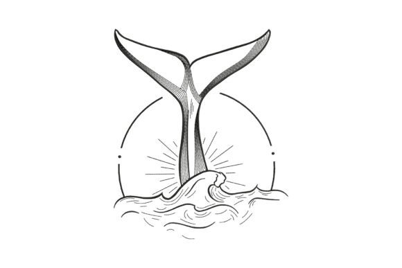 Whale Tail Outline: A Designer's Review for Real Projects